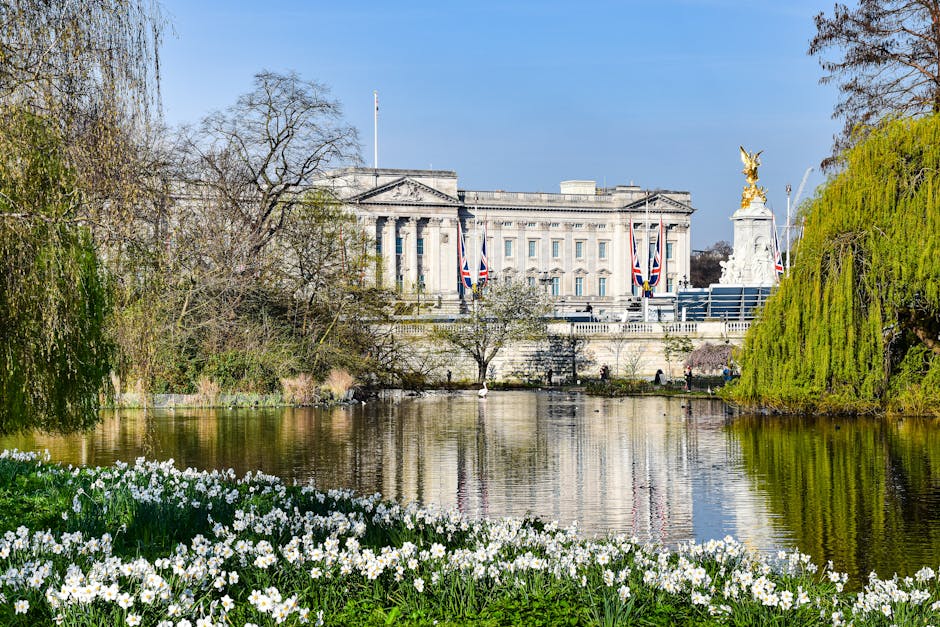 A scenic view of Buckingham Palace seen across a body of water, with the palace partially obscured by trees and flowering plants. In the foreground, there is a bed of white daffodils blooming along th